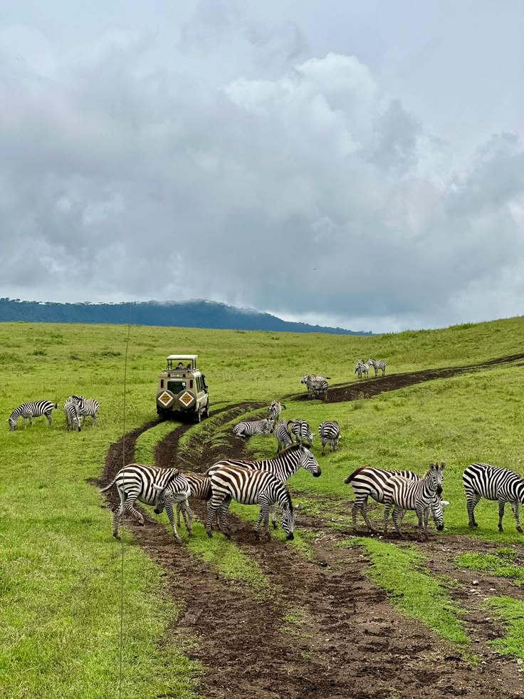 Tanzania